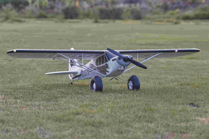 RC plane on grass field ready for weather assessment