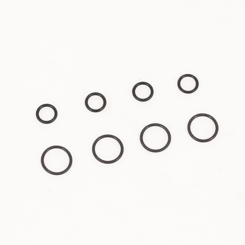 1:10 F100 Shock O-Ring