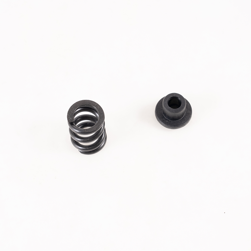 1:10 F100 Slipper Springs | FMS Hobby
