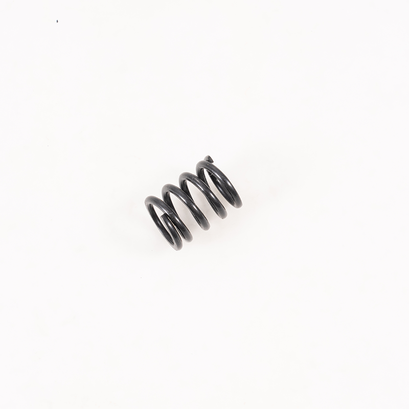 1:10 F100 Servo Saver Spring