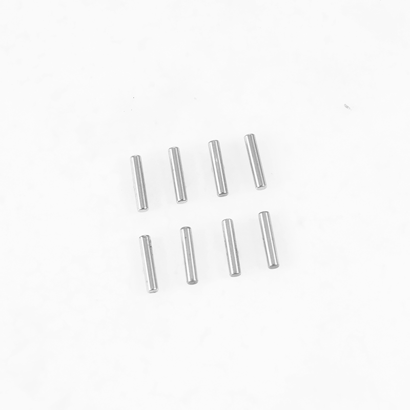 1:10 F100 Pin 2*10mm