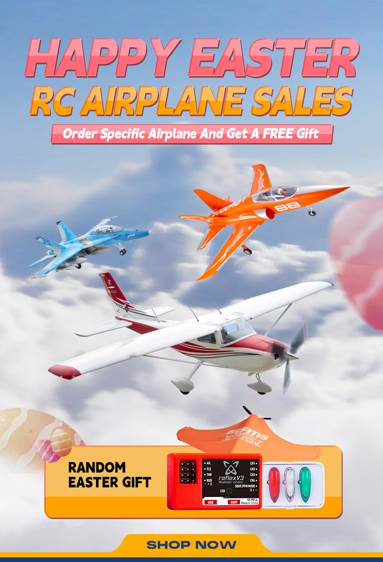RC Airplanes | Experience Thrills in the Sky – Page 3 – FMS Model