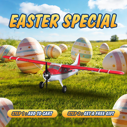 FMS 2000mm (78.7") Beaver V2 Seaplane PNP