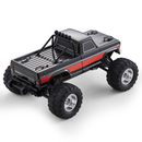 FMS 1:10 Ford F100 Monster Truck 2WD RTR / RS