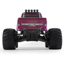 FMS 1:10 Ford F100 Monster Truck 2WD RTR / RS
