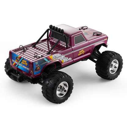 FMS 1:10 Monster Truck - Ford F100 2WD RTR / RS