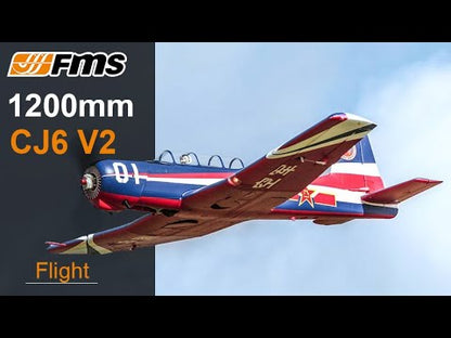 FMS 1200mm CJ6 PNP